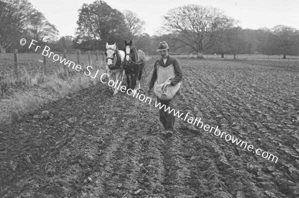 SOWING EARLY WHEAT